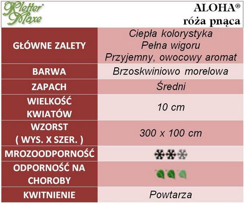Aloha róże pnące